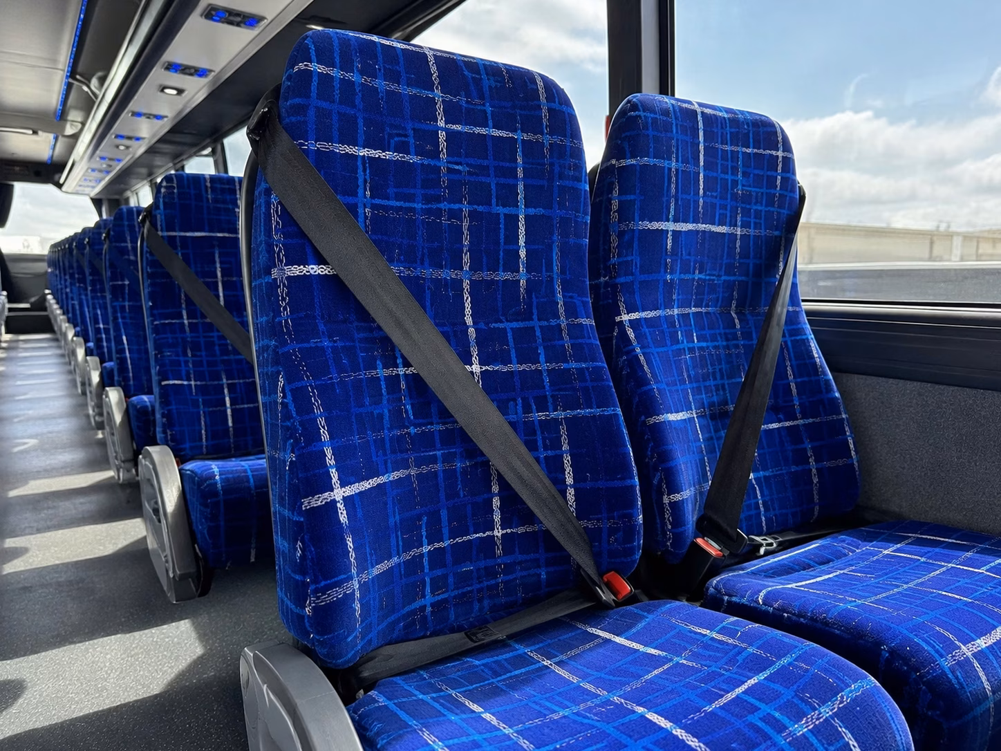 charter buses for large melbourne prom groups and schools